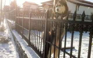 Victoria Plastik Ferforje 33 Victoria Plastik Ferforje 36