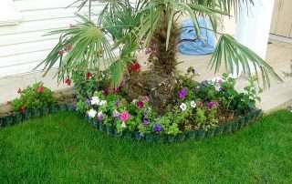 Bahçe Kenarlığı & Çiçeklik 20 Bahçe Kenarlığı & Çiçeklik 20