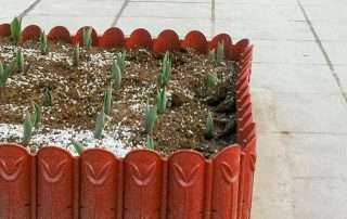 Bahçe Kenarlığı & Çiçeklik 6 Bahçe Kenarlığı & Çiçeklik 6