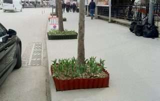 Bahçe Kenarlığı & Çiçeklik 7 Bahçe Kenarlığı & Çiçeklik 7