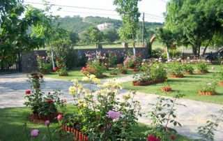 Bahçe Kenarlığı & Çiçeklik 8 Bahçe Kenarlığı & Çiçeklik 8